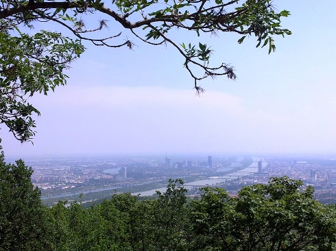Kahlenberg'den Viyana'ya bakış